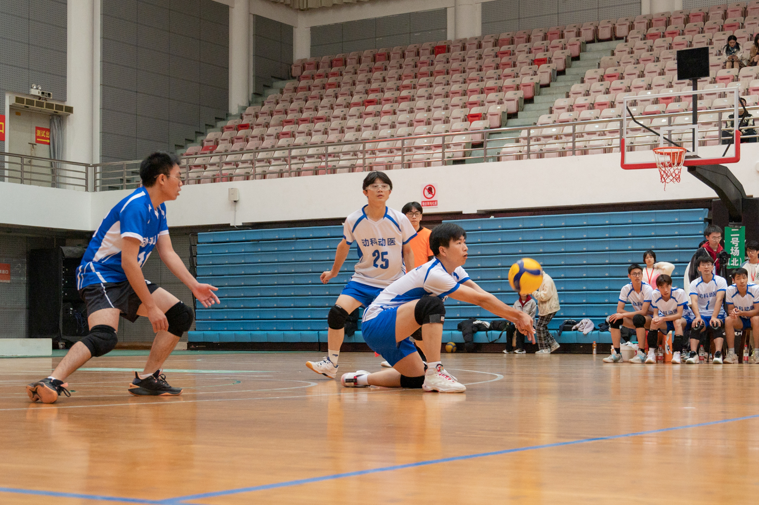 英国365集团3号接球（学通社记者 许可 摄）